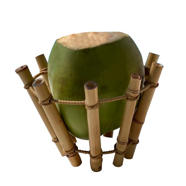 Porta coco de bambu