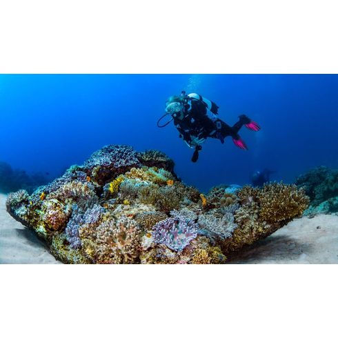 Mergulho-cilindro-Diani-Beach