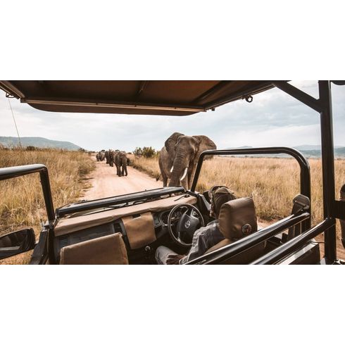 Safari-no-Masai-Mara.-_1_